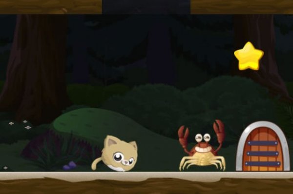 Cat Rolling Puzzle Adventure