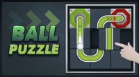 Ball Puzzle Brain Teaser