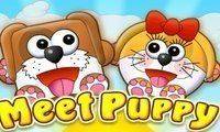 Meet Puppy Virtual Pet Simulator