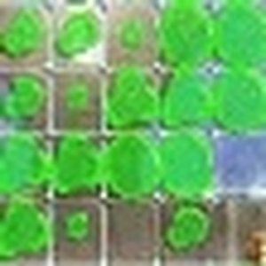 Blob Burst Puzzle