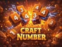 Craft Number Puzzle