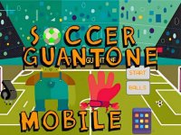 Soccer Guantone Arcade