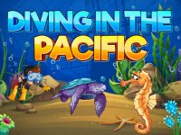 Pacific Hidden Object Puzzle