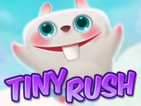 Tiny Rush Animal Match