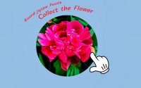 Round Jigsaw Puzzle: Collect the Flower - Free Online Puzzle Game