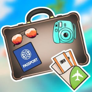 Pack a Bag Logic Puzzle